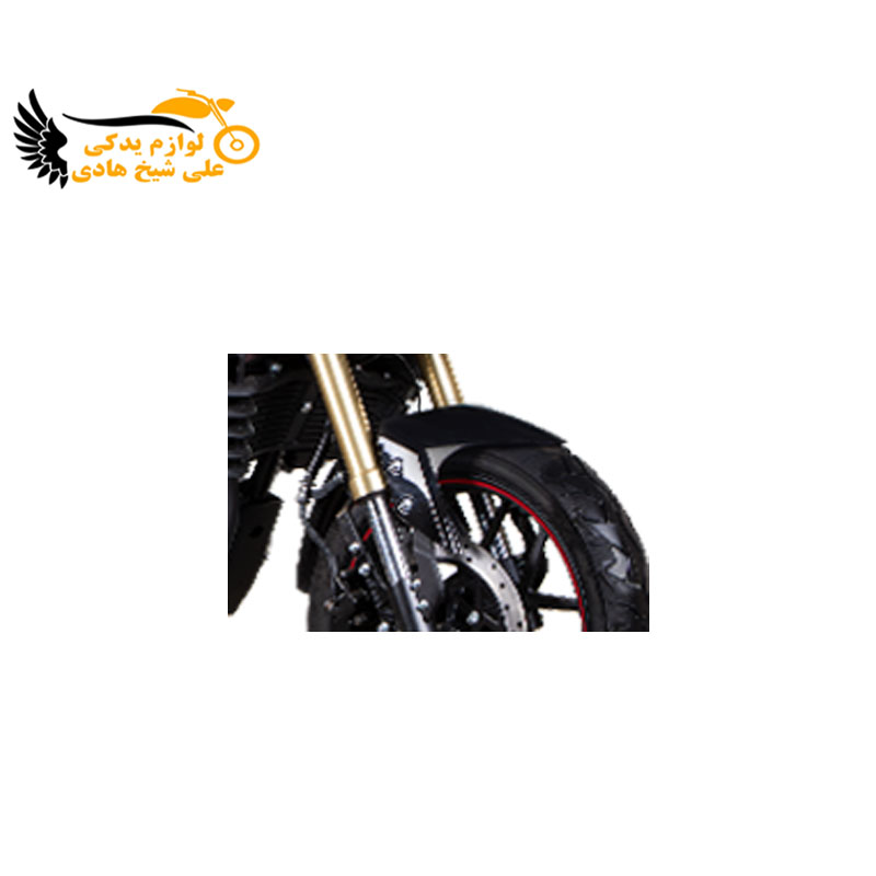 گلگیر جلو KPS200 لیفان مشکی